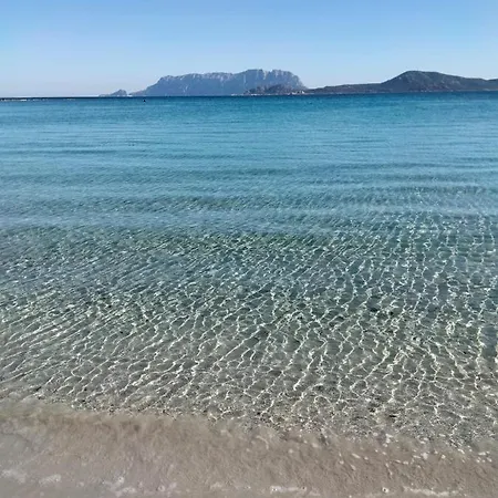 Casadela * オルビア